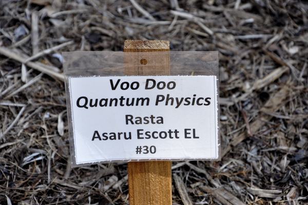 Voo Doo Quantum Physics sign