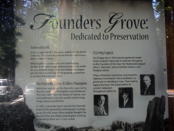 Founders Grove sign