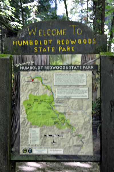 Welcome to Humboldt Redwoods SP