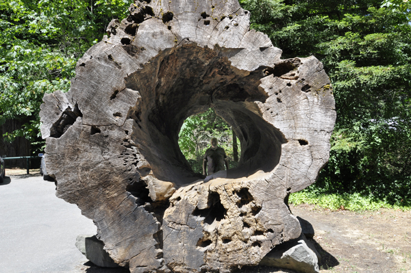 Lee Duquette by tree stump
