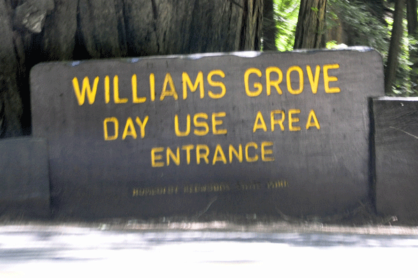 William Grove sign