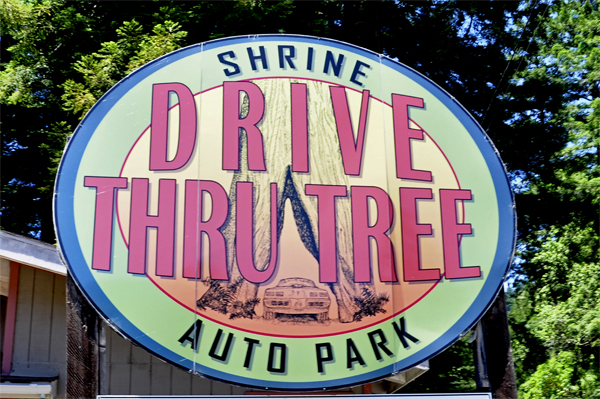 Shrine Drive Thru Tree sign