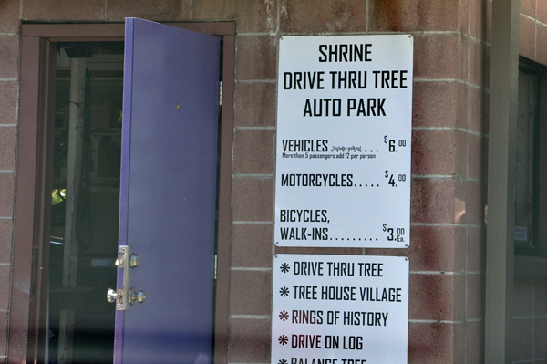 cost to drive thru the tree