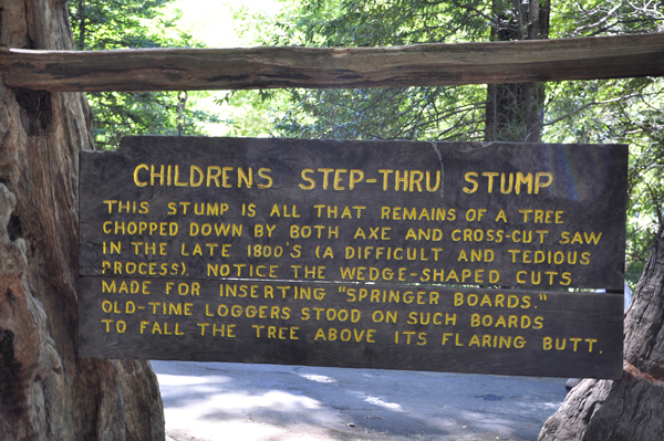 children's step-thru stump sign