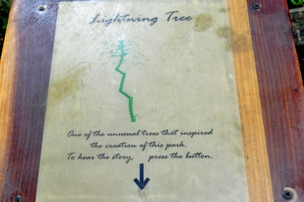 Ligtning Tree sign