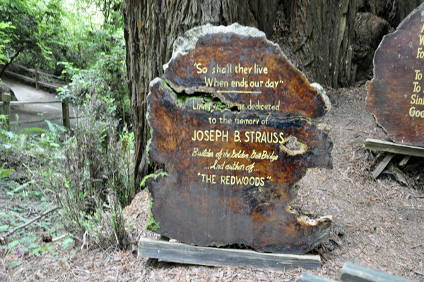 in memory of Joseph B Strauss sign