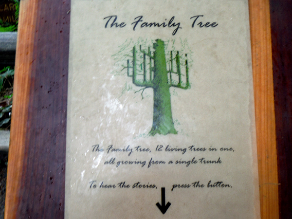 Family Tree sign
