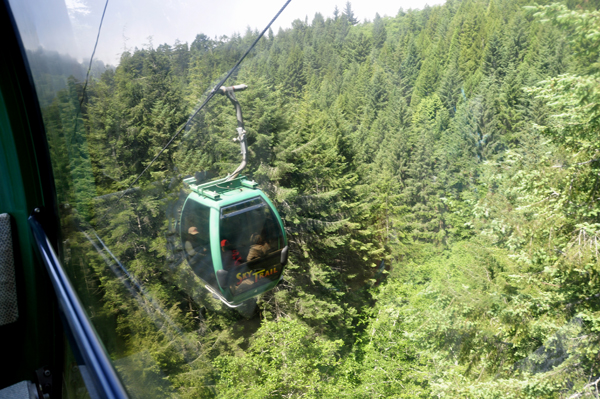 Sky Tram going through the trees