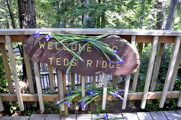 Welcome to Teds Ridge