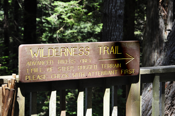 sign: Wilderness Trail
