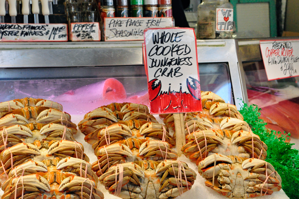 dungeness crabs for sale