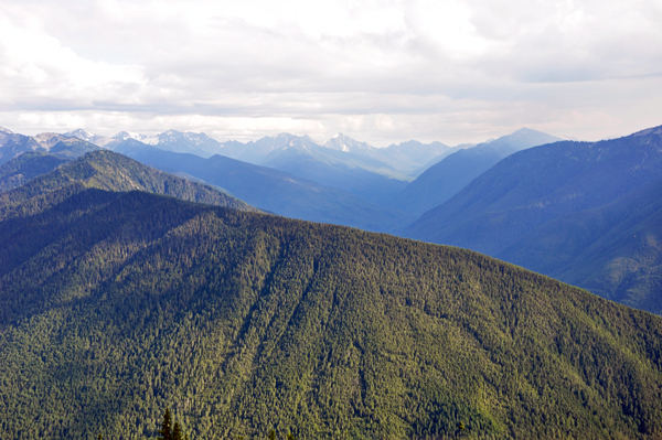 the rugged Olympic Mountains