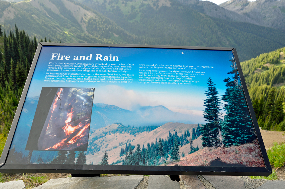 educational sign: Fire and Rain