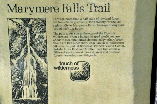 sign: Marymere Falls Trail