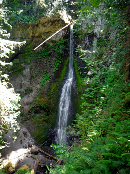 Marymere Falls - 90-feet tall