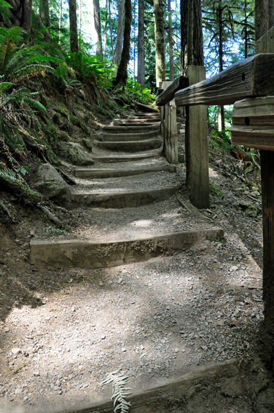 stairs on the trail