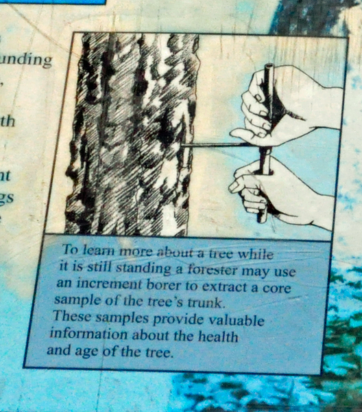 sign about trees