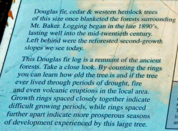 sign about Douglas Fir trees