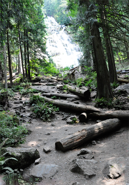 logs and  Bridal Veil Falls