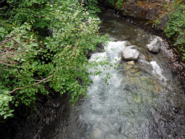 the creek