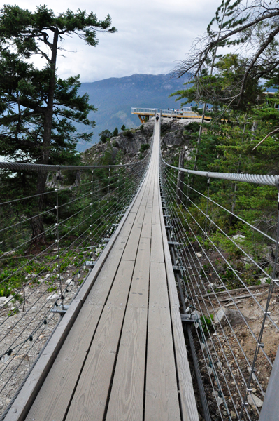 the suspension bridge
