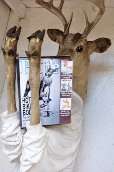 deer pooping and reading People Magazine