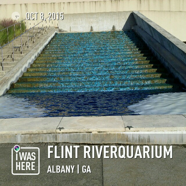 the Flint RiverQuarium's staircase waterfall