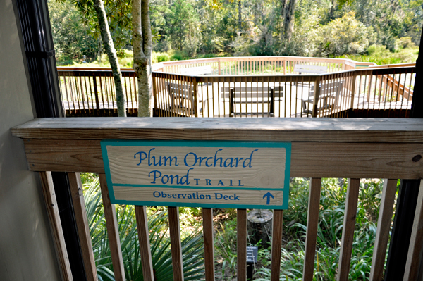 Plum Orchard Pond Observation Deck