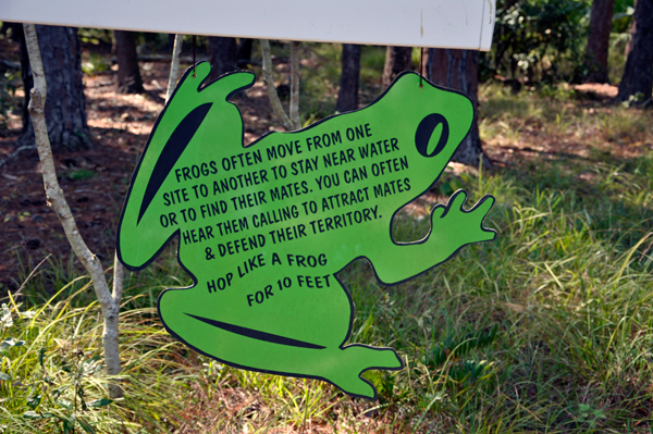 sign about frogs hopping.