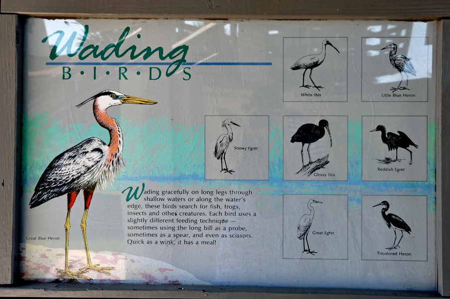 sign about wading birds