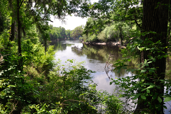 The Suwannee River