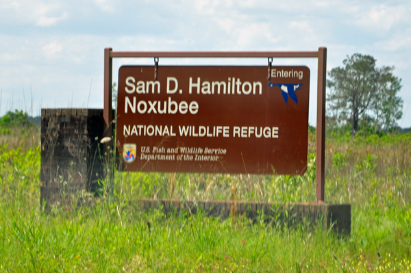 Sam D Hamilton Noxubee National Wildlife Refuge sign