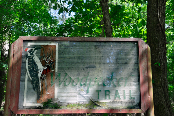 Woodpecker trail sign