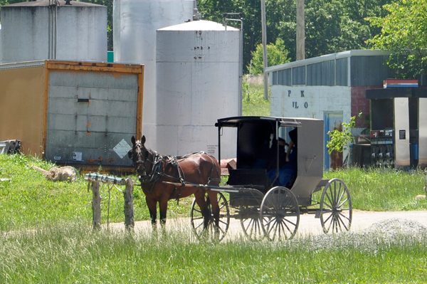 Amish carriage