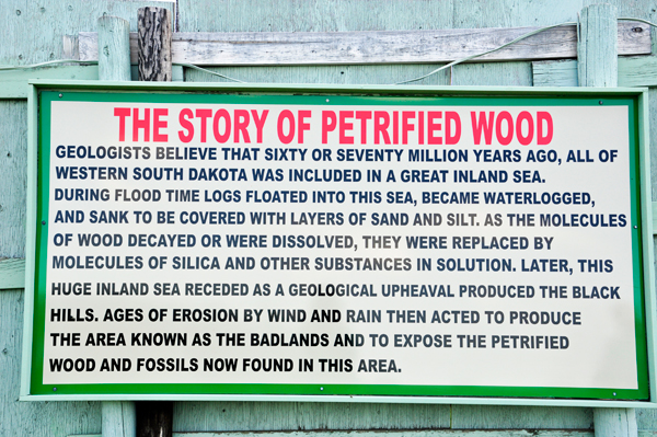 sign: Story of Petrified Wood