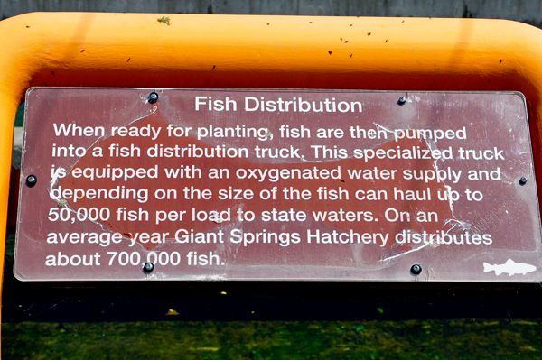 fish distribution sign