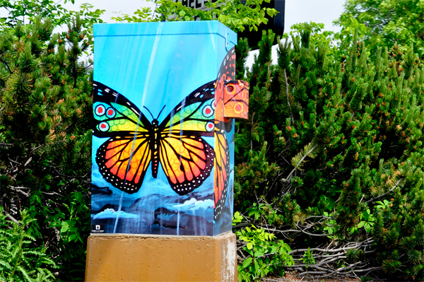 Painted electrical box