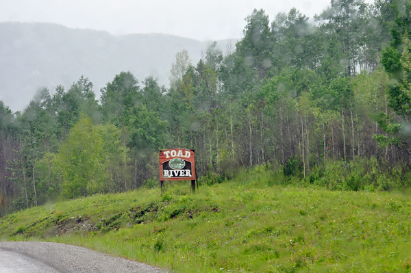Toad River sign and fog