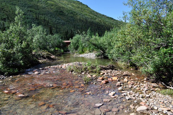 Kantishna River