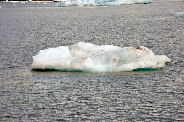 growler - a small iceberg