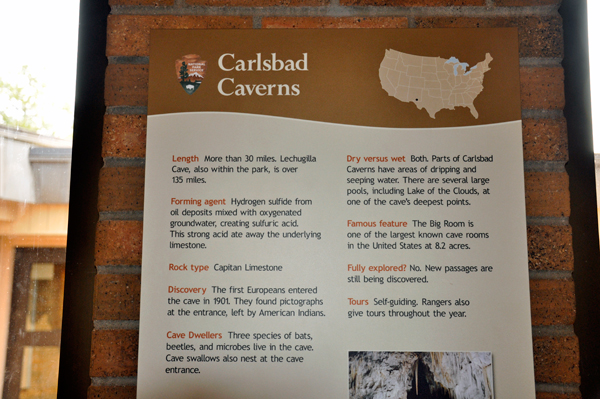 Carlsbad Caverns info