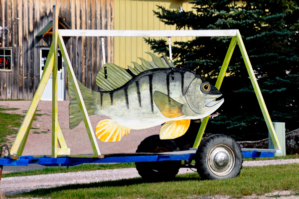 big fish on a trailer