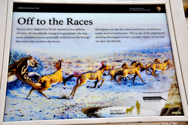 sign about earlier horses