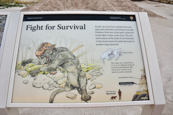 fight for survival sign