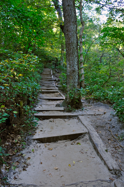 some of many stairs along the trails