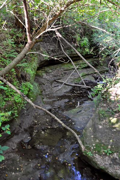 a small stream 