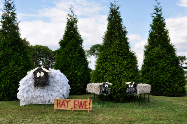 Hay Bale Trail Guthrie - ewes