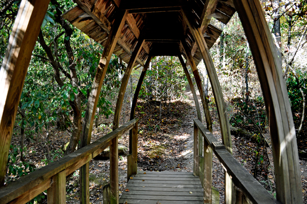A bridge in the woods 