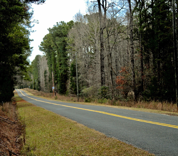entry road into Andrew Jackson State Park