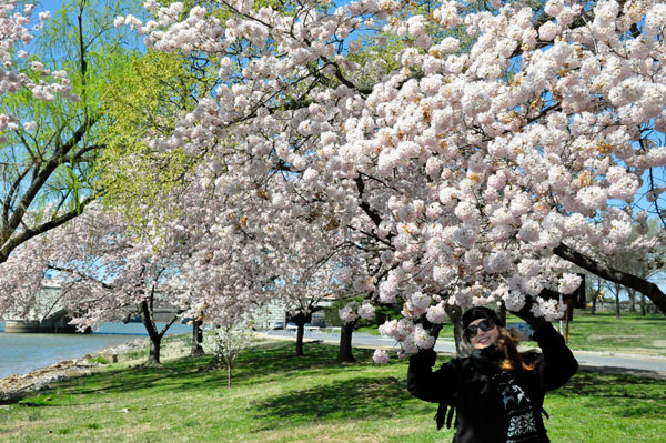 Karen Duquette and the Cherry Blossoms